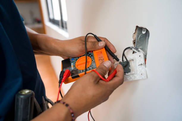 Best Affordable Emergency Electrician  in Cedar Springs, MI