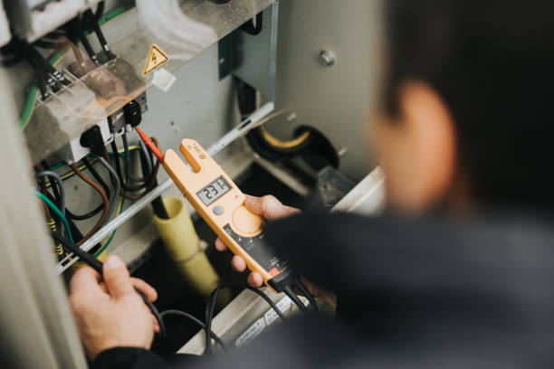 Best Local Electrician Companies  in Cedar Springs, MI