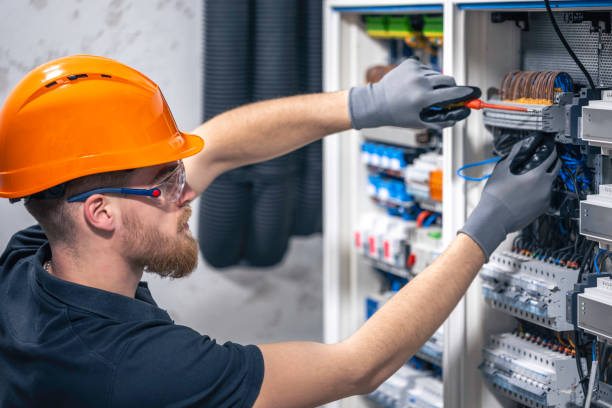 Best Industrial Electrical Services  in Cedar Springs, MI